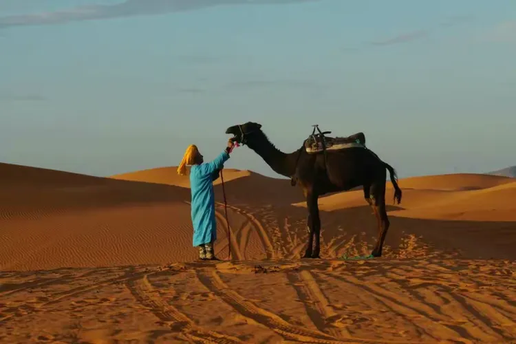 包含突尼斯击败摩洛哥取得好成绩的词条 包含突尼斯击败摩洛哥取得好成绩的词条