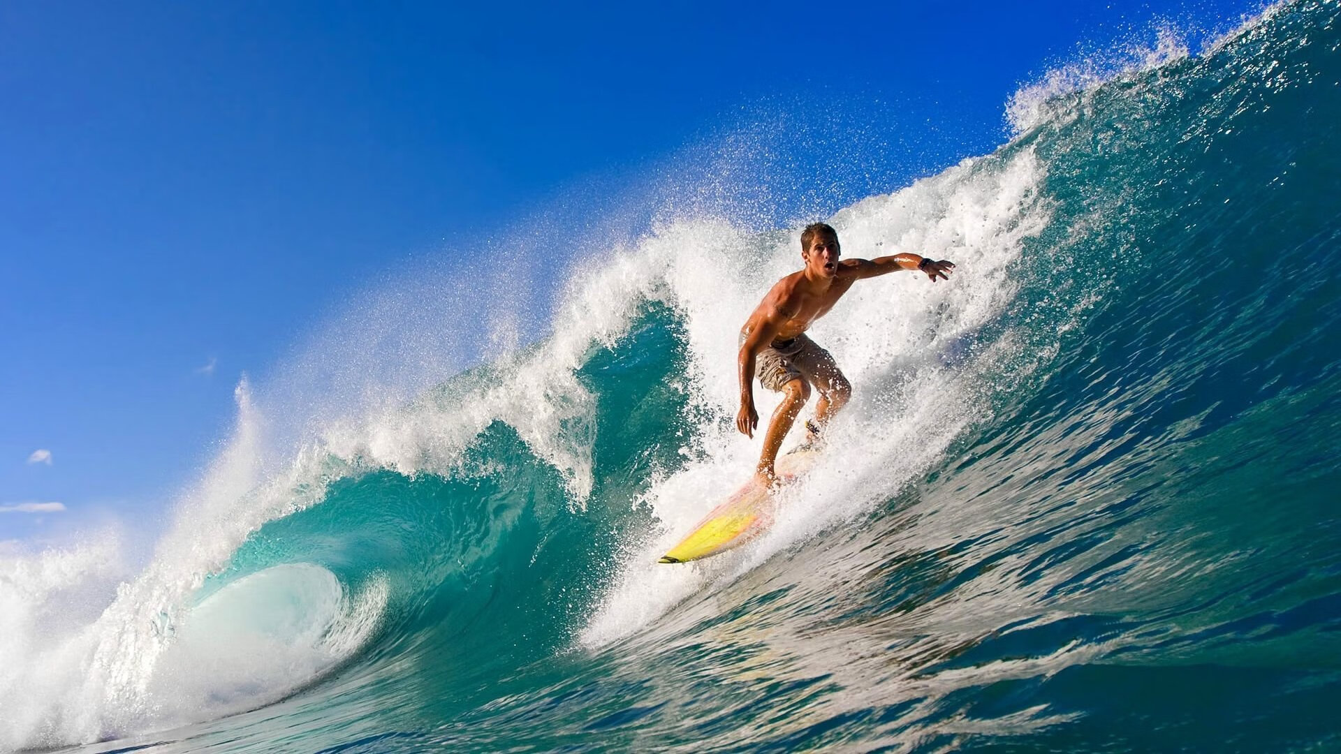 终极规律与濒死反噬，当塔图姆成为篮球宇宙公理，森林狼的胜利是另一种解法